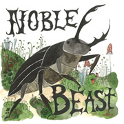 Andrew Bird- Noble Beast